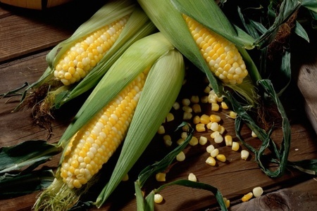 Как правильно варить кукурузу: 5 ценных советов