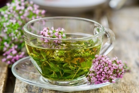 Семь причин, почему стоит ежедневно пить зеленый чай