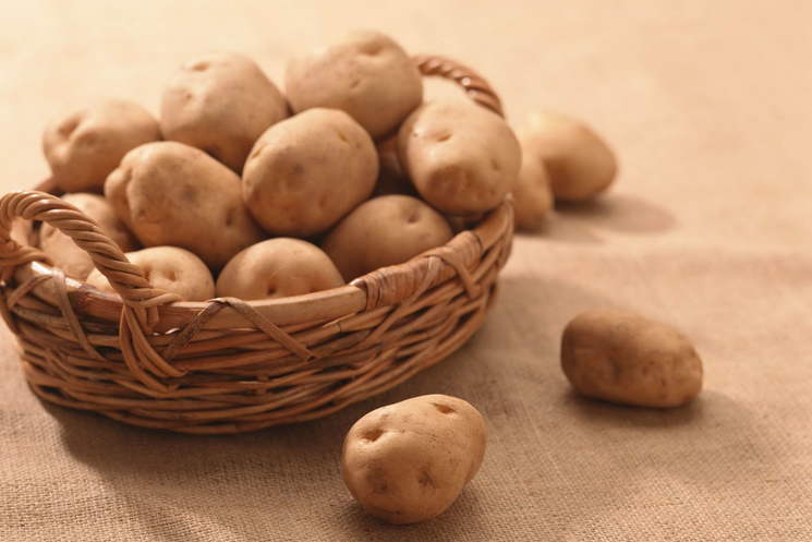 Что вы хотели знать о... картофеле