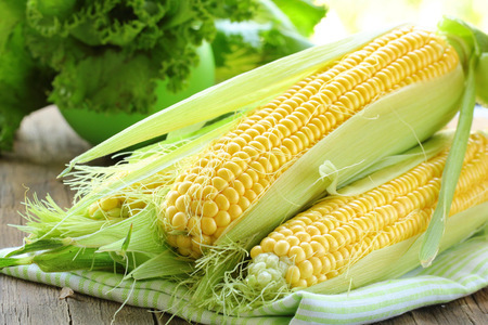 Что вы хотели знать о... кукурузе