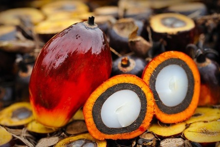 Все, что нужно знать о пальмовом масле: польза и вред