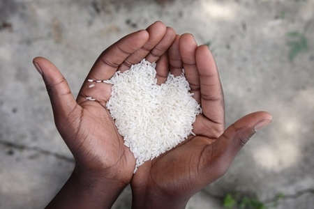 5 видов риса: чем они отличаются и какой самый полезный