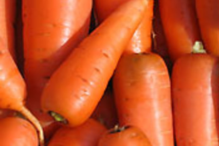 Лучшие рецепты: морковь