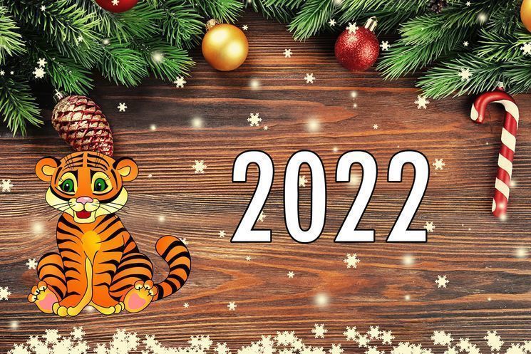 Рецепты на 2022 год Тигра к новогоднему столу