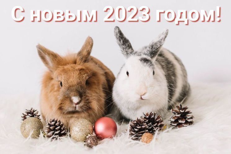 Что готовить на новогодний стол в год кролика?
