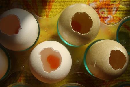 "яйца фаберже": шаг 2