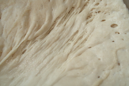 Хлеб адриано (по описанию плиния; выпекаемый ещё древними римлянами): шаг 1