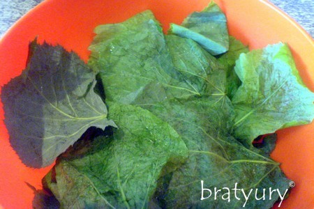 Салат из листьев липы: шаг 1