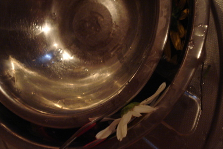Ледяная чаша с живыми цветами: шаг 3