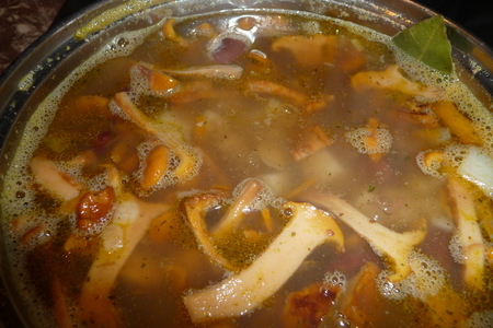 Простенький суп из лисичек: шаг 3
