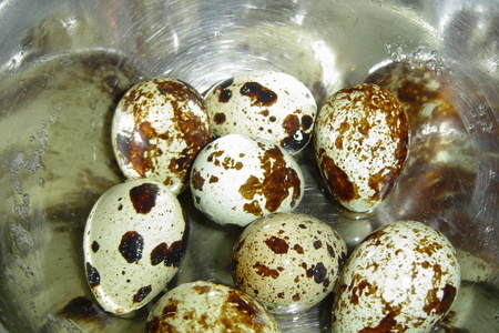 Рулет с перепелиными яйцами: шаг 7