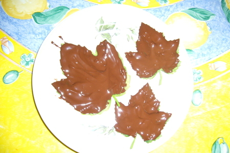 Шоколадные листья: шаг 2