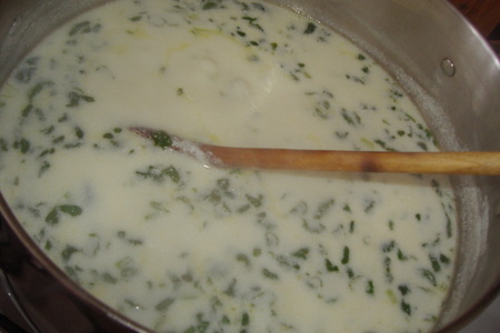 Спас (кисломолочный суп): шаг 5