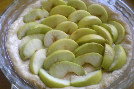 Яблочный пирог с коричной крошкой: шаг 4