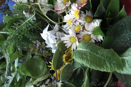 Салат весенний цветение сакуры (только любителям природы!): шаг 9