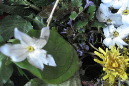 Салат весенний цветение сакуры (только любителям природы!): шаг 11
