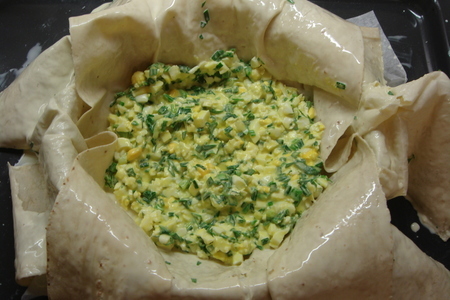 Низкокалорийный (ну почти:) ), полезный и очень простой пирожок с зеленым луком.: шаг 6