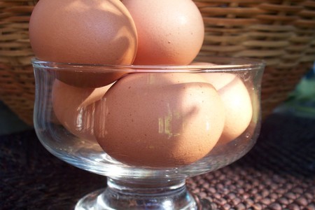 Яйца фаршированные вялеными помидорами и козьим сыром"виват италия" дуэль-реванш-с пестиком!: шаг 1