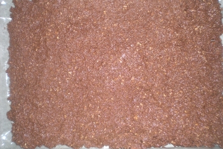 Шоколадно-арахисовые протеиновые( белковые) снеки.: шаг 11