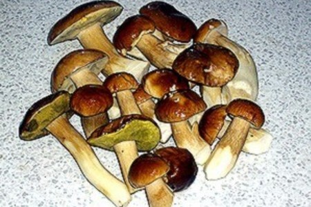 Корзиночки с белыми грибами: шаг 1