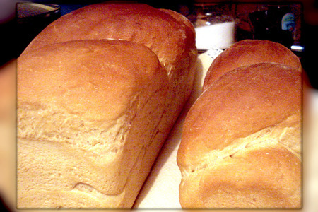"золотистый тост"! - хлеб тостовый (молочный) со странностями: шаг 9
