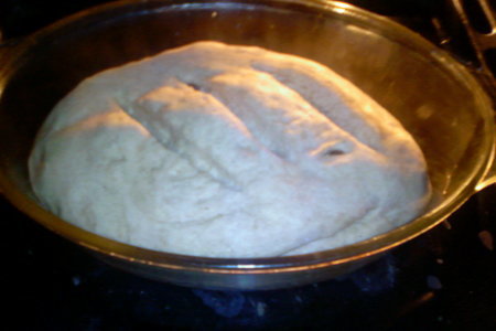 Имбирный хлеб( проба пера).: шаг 5