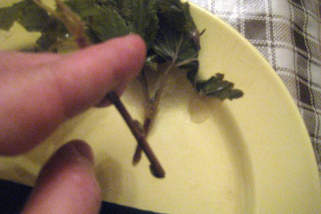 Салат с грибами и вишней "ларчик-плиз": шаг 2