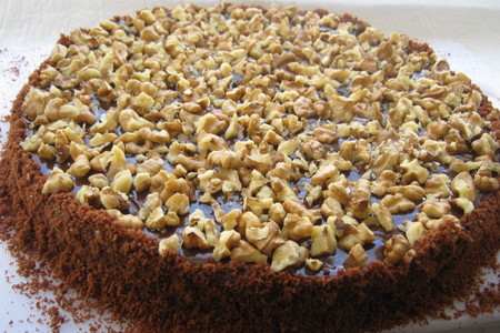 Шоколадный торт - пирог  ( sour cream and nut slice): шаг 10