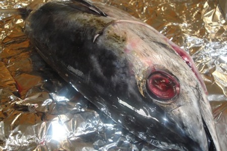 Острый тунец запечённый в горчично-медовом маринаде: шаг 1