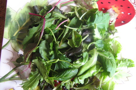 Летний салат с арбузом,черри,брынзой и мятой.(дуэль): шаг 5