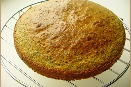 Маково-ореховый торт со сгущенкой «нежный, уютный, вкусно домашний»: шаг 10