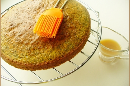 Маково-ореховый торт со сгущенкой «нежный, уютный, вкусно домашний»: шаг 11