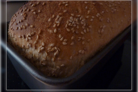 Ситный  хлеб с кунжутом... печём все!: шаг 8