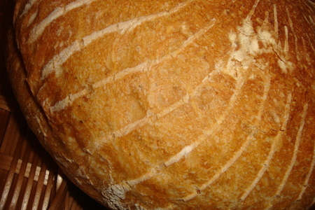 Итальянский хлеб (ann thibeault): шаг 8