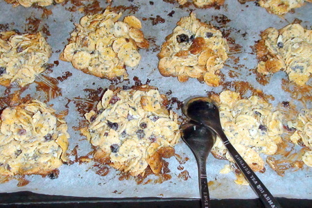 Печенье из кукурузных хлопьев с маком и брусникой (без муки).: шаг 7