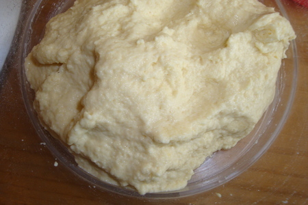 Хлеб типа альтамура - pane tipo altamura: шаг 3