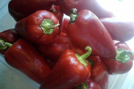 Перец болгарский в томатном соку: шаг 1