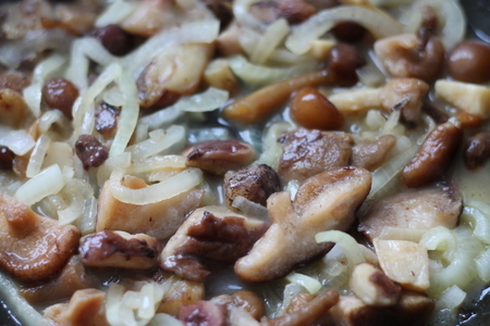 Паста в сливочном соусе с грибами и креветками от ольги будиной (звездный фм): шаг 3
