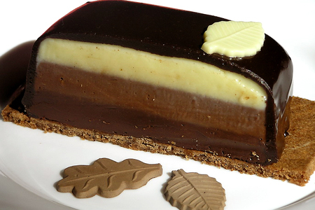 Помадка "три шоколада" (по мотивам  десерта fondaunt aux 3 chocolats от себастьяна серво): шаг 22