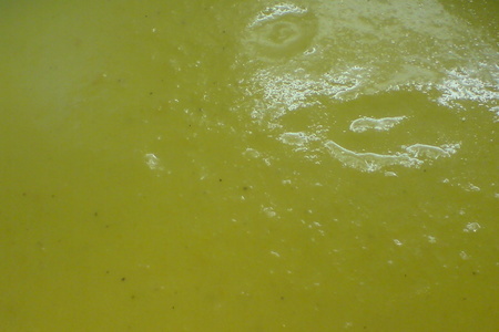 Весенний солнечный пасхальный суп из жёлтых перцев с авокадовой сальсой : шаг 3
