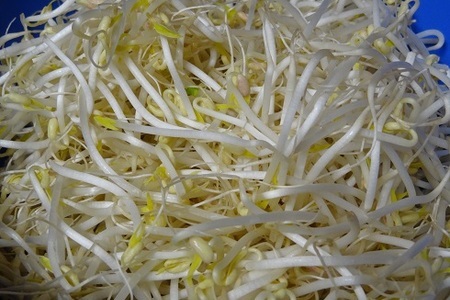 Корейский салат с ростками фасоли: шаг 1