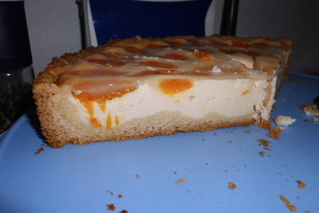 Торт творожный с мандаринами"нежный": шаг 6