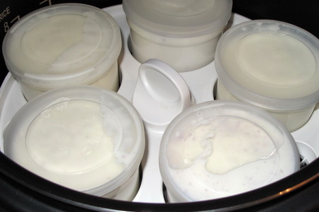 Йогурт со сгущенным молоком и конфитюром (тест-драйв): шаг 5