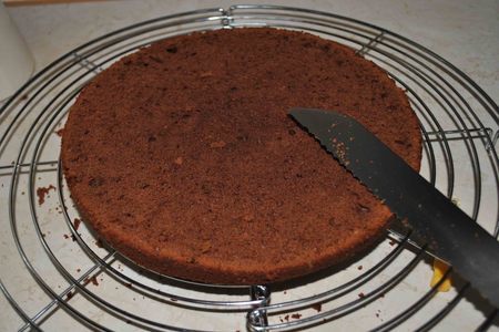 Шоколадный торт по рецепту бабушки ивонн "домашний праздник": шаг 8