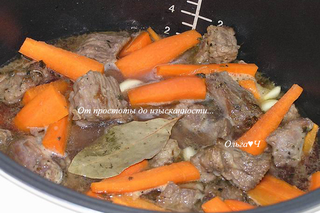 Рагу из говядины с морковью и мятой (в мультиварке): шаг 4