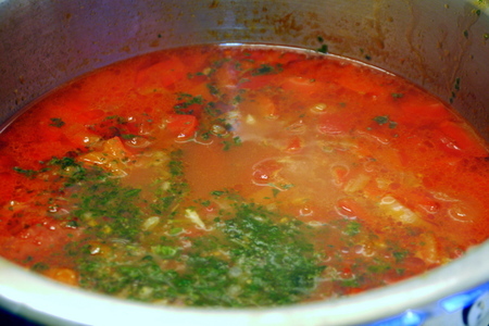 Итальянский острый суп из паприки с анисовой водкой для иветты: шаг 5