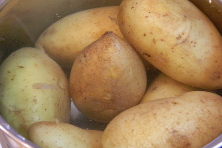 Молодой картофель "весенняя феерия": шаг 1