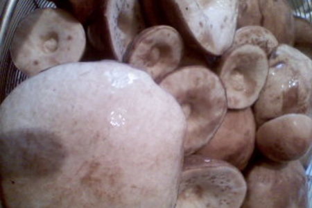 Маринованные подберезовики и белые грибы: шаг 2