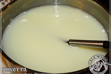 Рикотта ... сыр из сыворотки молока англо - нубийских коз: шаг 3