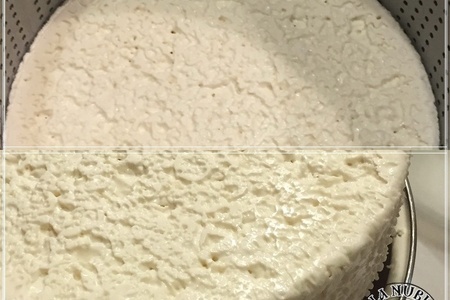 Моцарелла ... сыр из сыворотки молока англо - нубийских коз: шаг 7